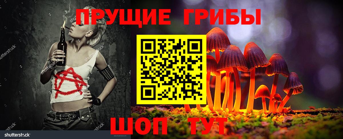 Гурьевск  Псилоцибиновые грибы ЛСД  Вход с VPN  Галлюциногенные грибы Magic Shrooms 